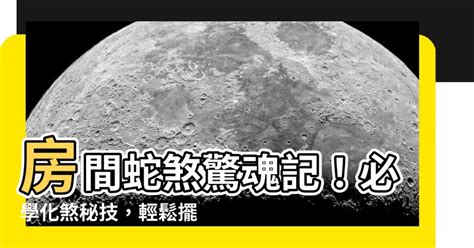 房間蛇煞化解|【室外蛇煞】小心室外蛇煞！風水毒蛇煞危害大，教你。